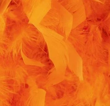 MICA Festival Federboa - 2 M - Verschiedene Farben 1 MICA Festival Federboa - 2 M - Verschiedene Farben