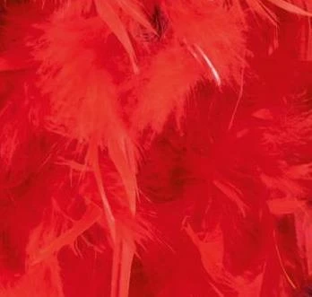 MICA Festival Federboa - 2 M - Verschiedene Farben 2 MICA Festival Federboa - 2 M - Verschiedene Farben – Bild 2