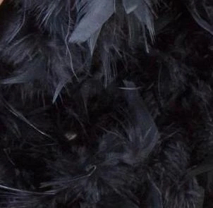 MICA Festival Federboa - 2 M - Verschiedene Farben 6 MICA Festival Federboa - 2 M - Verschiedene Farben – Bild 6