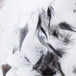 MICA Festival Federboa - 2 M - Verschiedene Farben 9 MICA Festival Federboa - 2 M - Verschiedene Farben -Mica Decorations Geschäft 202646 2