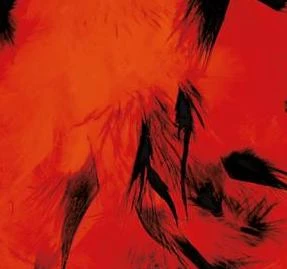 MICA Festival Federboa - 2 M - Verschiedene Farben 7 MICA Festival Federboa - 2 M - Verschiedene Farben – Bild 7