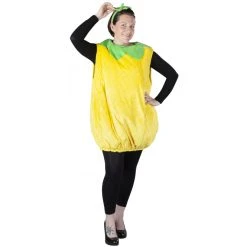 MICA Festival Kostüm - Ananas - Für Erwachsene - 2-teilig