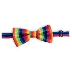 Fries Fliege - Regenbogen - Für Erwachsene