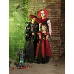 Boland Perücke - Horrorclown - Für Erwachsene 5 Boland Perücke - Horrorclown - Für Erwachsene -Mica Decorations Geschäft alles370